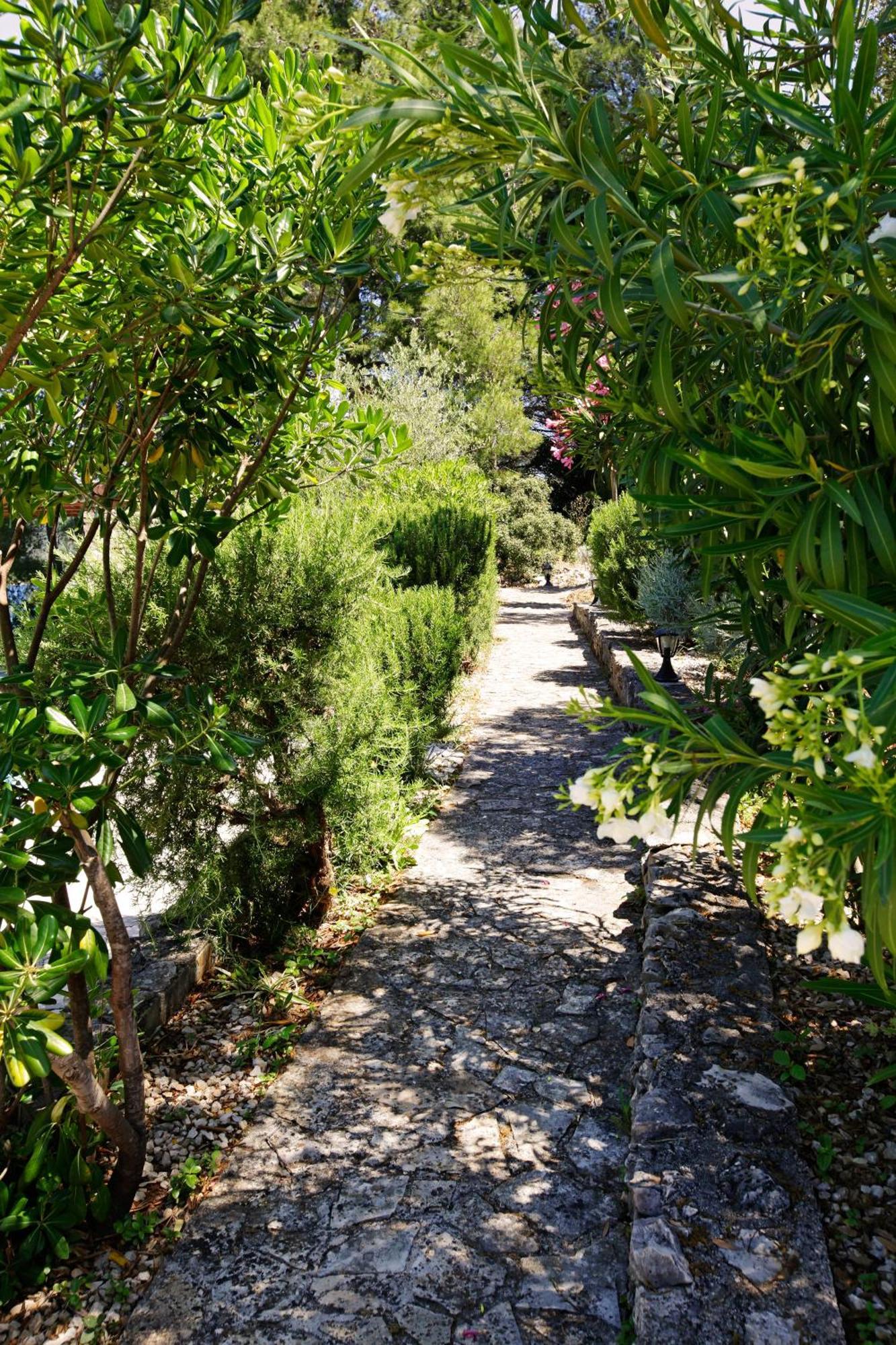 Villa Goga Vela Luka Exterior foto